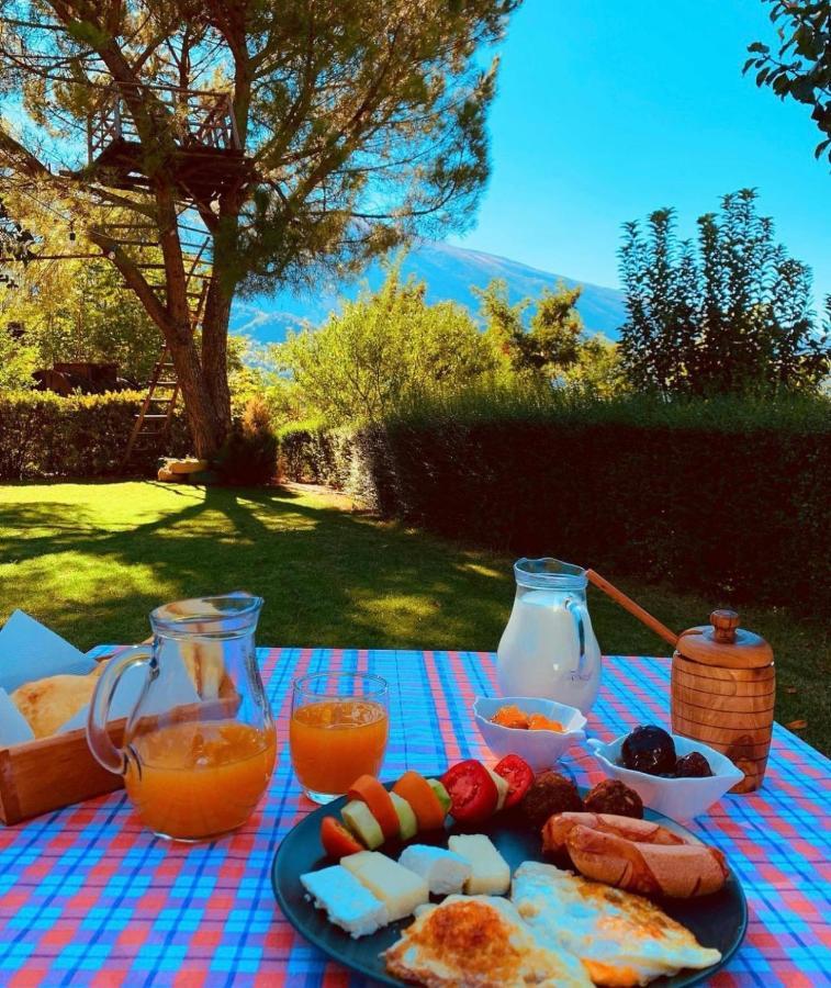 Merly Hotel Përmet Dış mekan fotoğraf