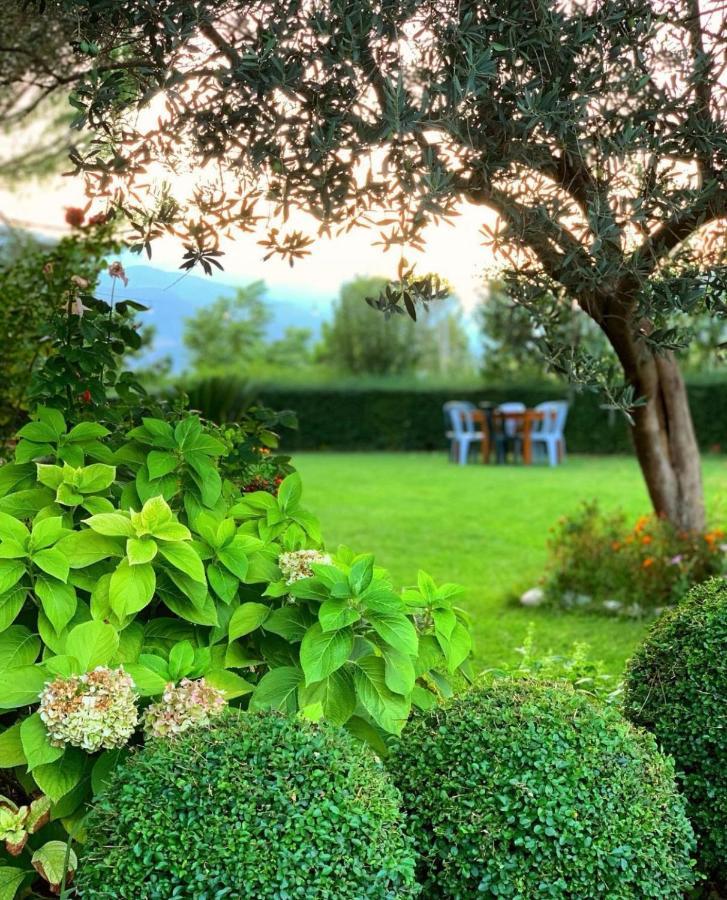 Merly Hotel Përmet Dış mekan fotoğraf