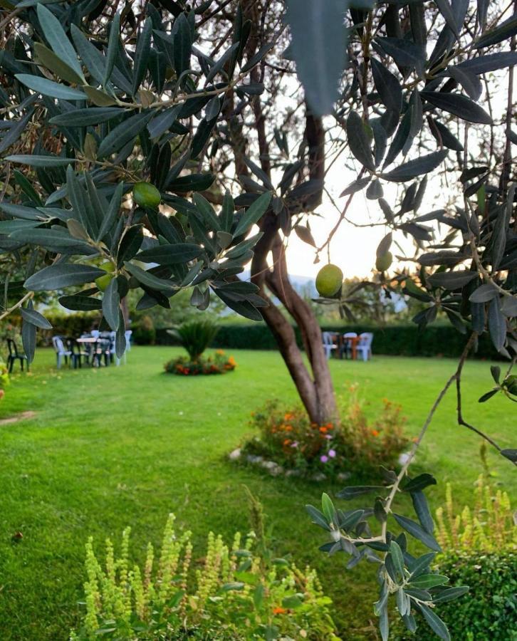 Merly Hotel Përmet Dış mekan fotoğraf